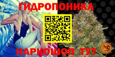 экстази Можга