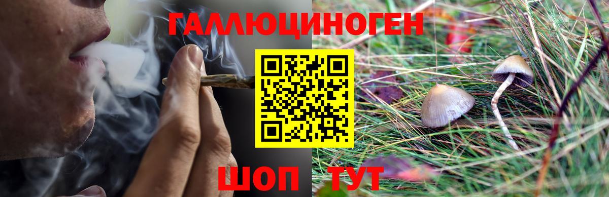 Галлюциногенные грибы мицелий  Вход с VPN  Углич 
